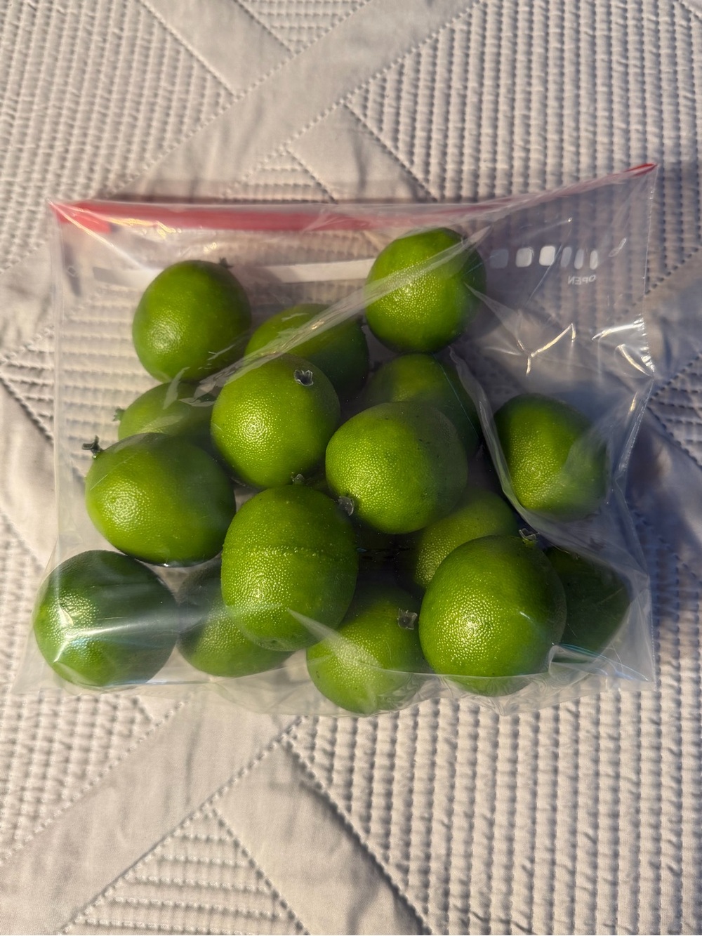 Decorative Limes Very Realistic - Home Accents Decor - Set of 17